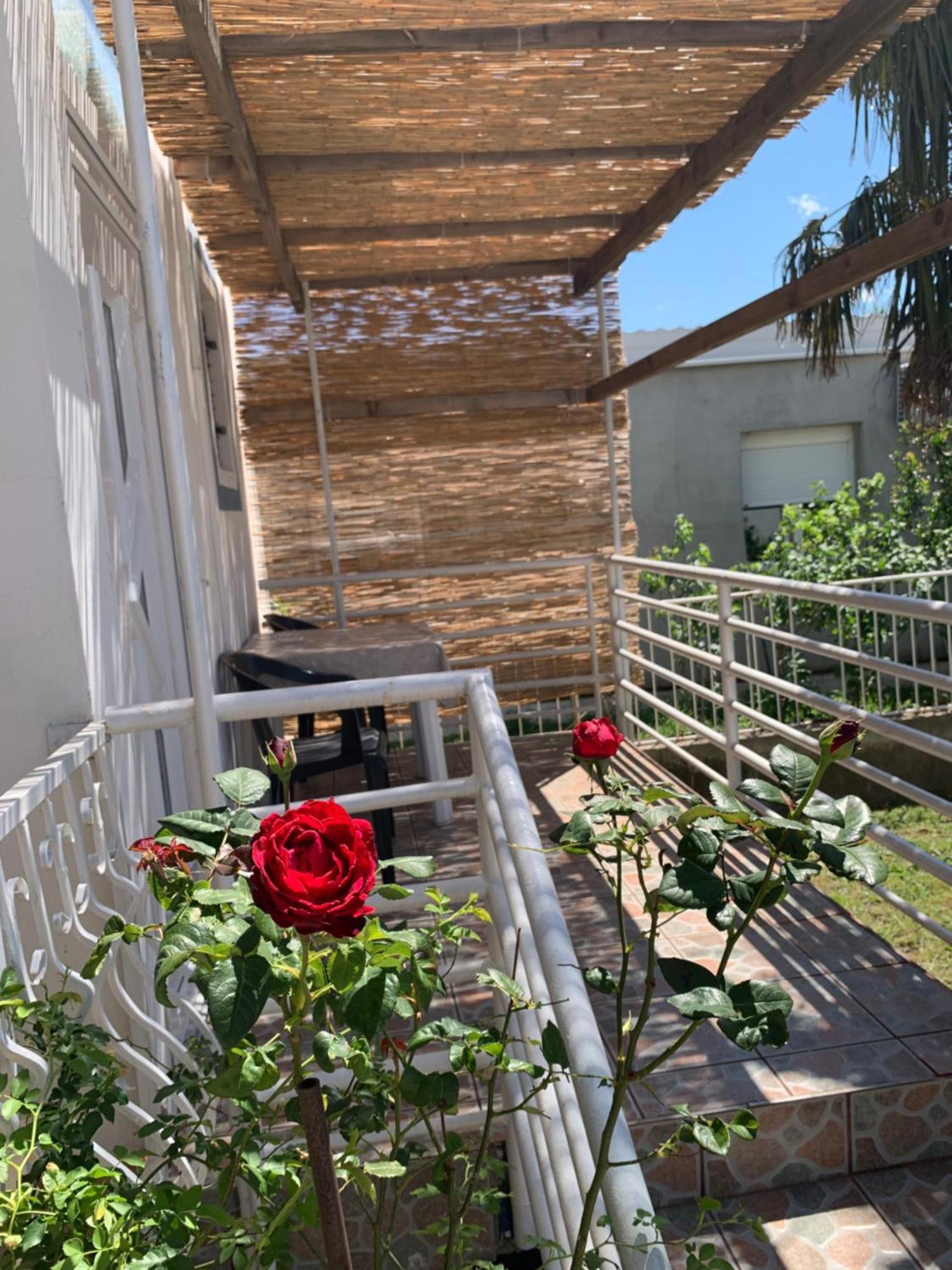 Apartmani Antonela Seline Dış mekan fotoğraf